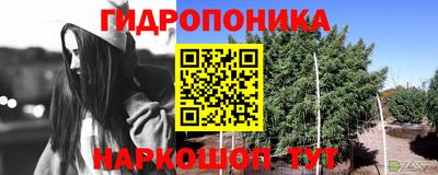 наркотики Гусиноозёрск
