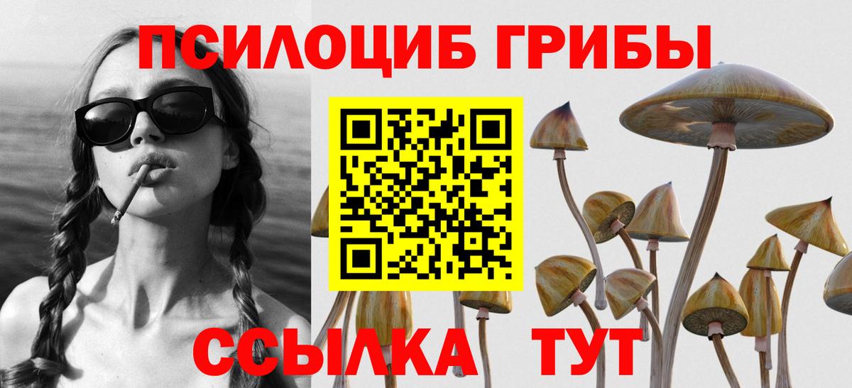 Псилоцибиновые грибы Magic Shrooms Знаменск