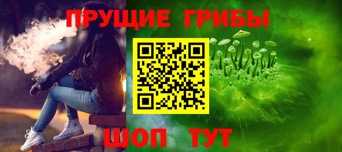 Знаменск  Псилоцибиновые грибы мухоморы  Вход с VPN 